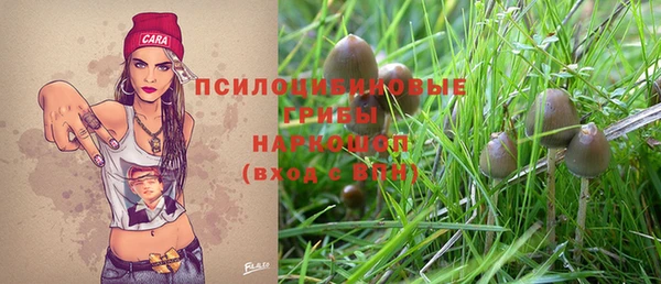амф Баксан