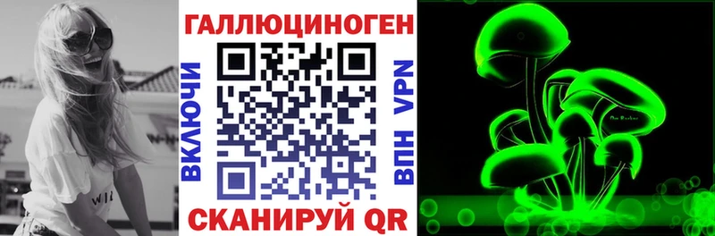 Псилоцибиновые грибы Psilocybine cubensis  Демидов 